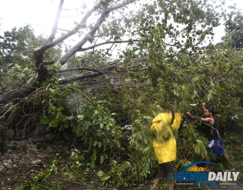 最强台风“海燕”席卷菲律宾 百万居民被迫撤离