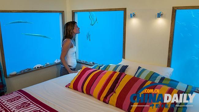 与鱼共舞 非洲第一家水下酒店客房开张