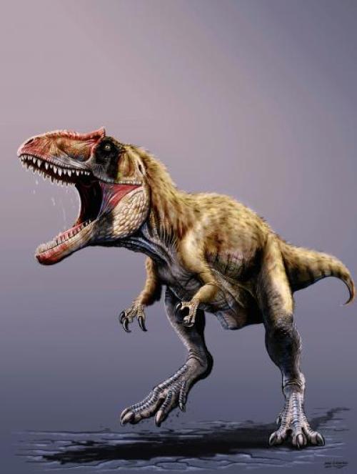 恐龙新品种“食人野兽” 或为霸王龙劲敌