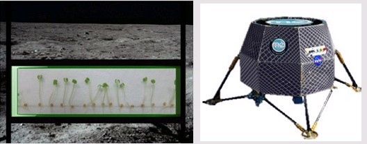 美国宇航局计划2015年前开始在月球上培育植物
