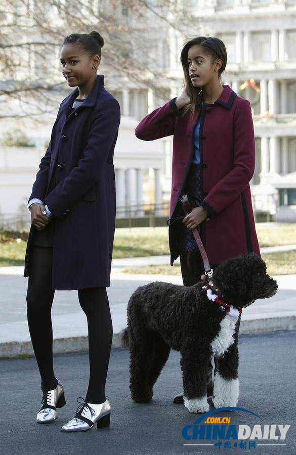 奥巴马妻女全出动迎接圣诞树入住白宫