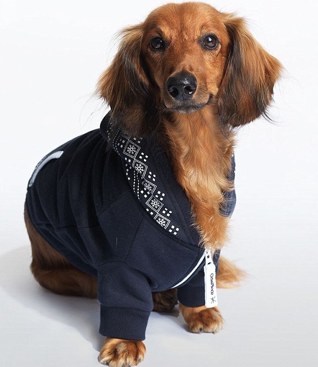 挪威制衣公司推出狗狗连体衫 样式超萌价格不菲 