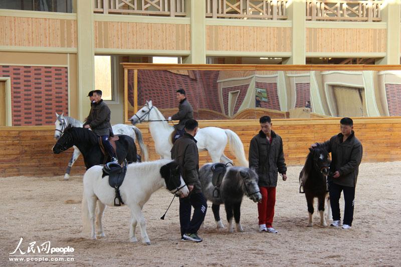 朝鲜马场上的时髦婚礼