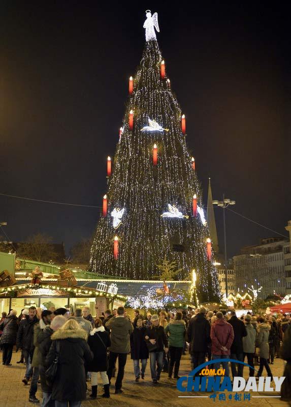 德国最高圣诞树高45米 颇为壮观