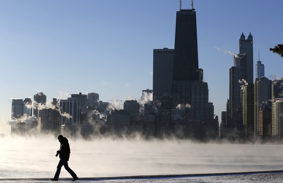 美国遭遇20年最冷冬天 芝加哥北极熊室内“取暖”