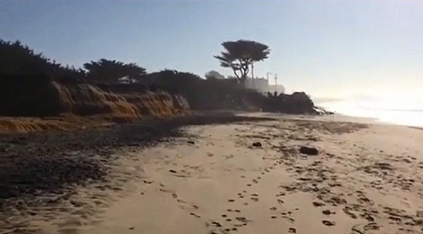 受福岛事故影响？美旧金山海滩辐射值达安全值5倍