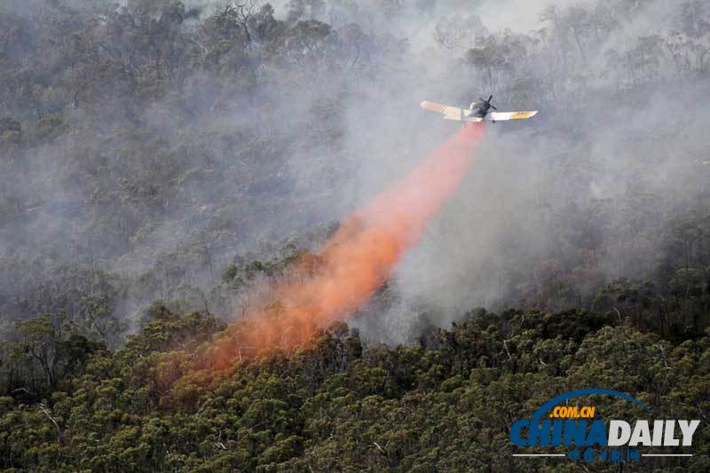 澳大利亚持续高温引发巨大山火 当地居民撤离