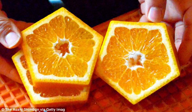 日本农民培育五角形橙子 因谐音吉利受追捧