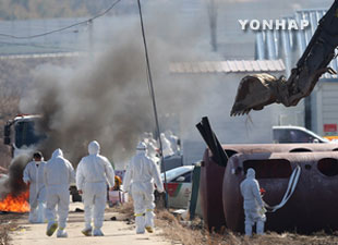 韩国禽流感继续扩散 政府再次发布暂时“禁行令”