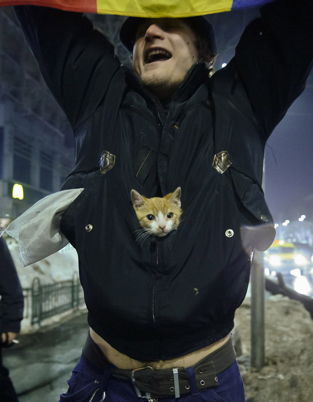 罗马尼亚男子带猫一同抗议政府 要求总理下台