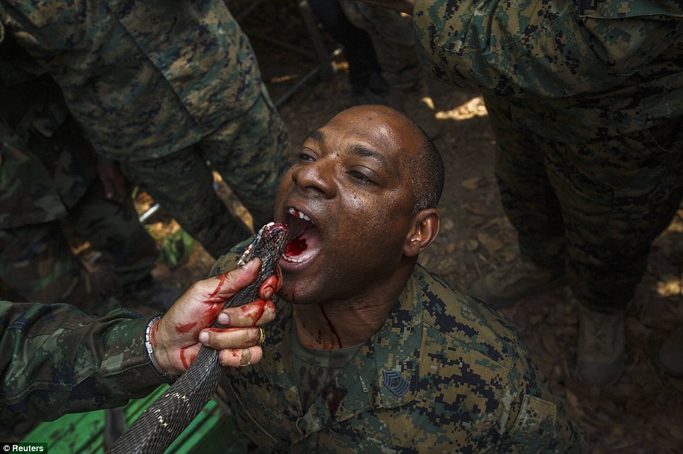 美国海军陆战队生存训练：喝蛇血、吃蝎子