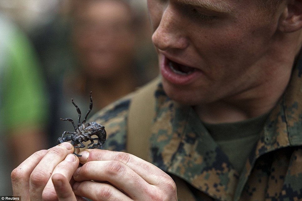 美国海军陆战队生存训练：喝蛇血、吃蝎子