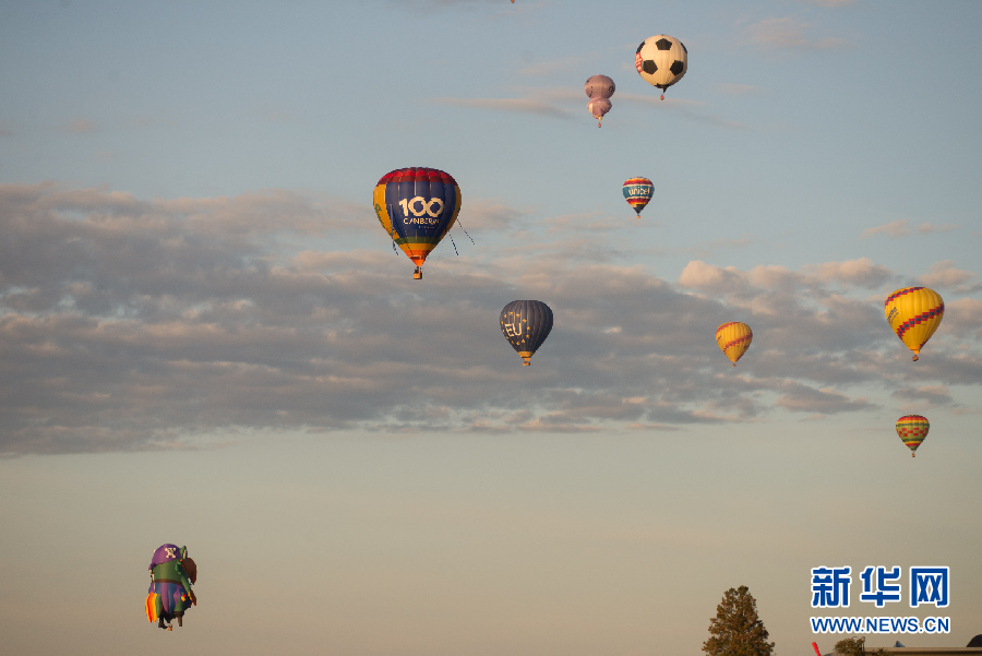 缤纷热气球绽放堪培拉天空——一年一度堪培拉热气球节