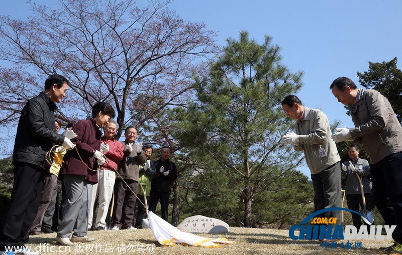 韩国总统朴槿惠亲手种树 庆祝植树节