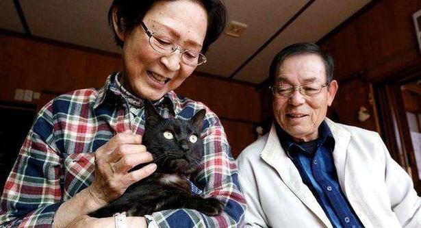 地震海啸后失踪3年 日本猫咪终与主人团聚