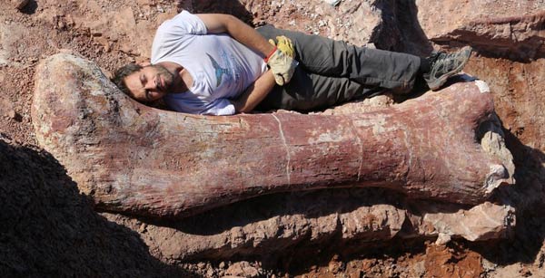史上最大恐龙化石现身阿根廷