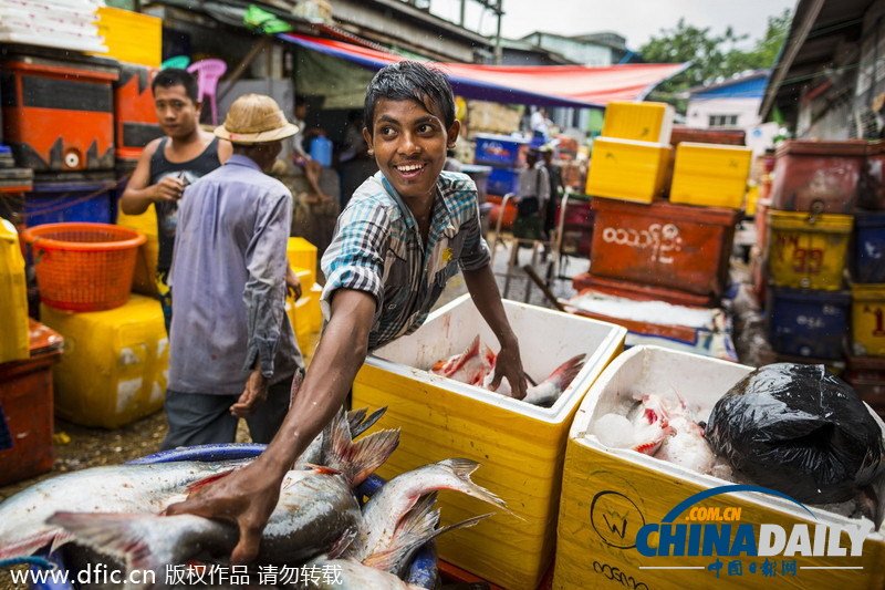 走进缅甸仰光最大批发鱼市 感受市井生活艰辛