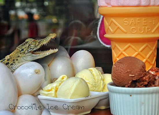 菲餐馆用鳄鱼蛋做冰激淋 称比鸡蛋更有营养
