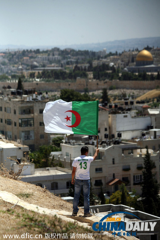 动人一幕！巴勒斯坦青年山顶举阿尔及利亚国旗为阿球队打气
