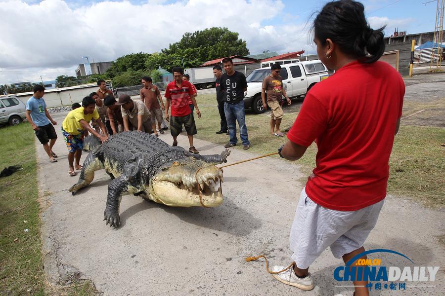 菲律宾制6米多长机器鳄鱼 内置数千装置