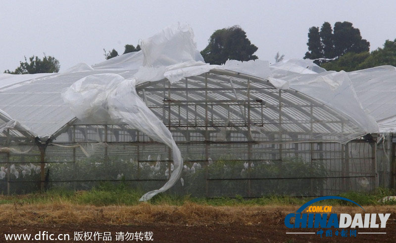 超强台风“浣熊”袭击日本 冲绳地区降暴雨