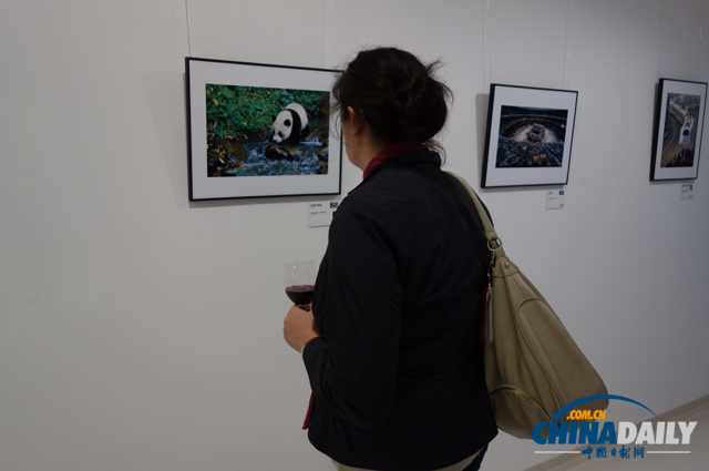 巴黎举办“美丽中国”摄影展 庆祝中法建交50周年