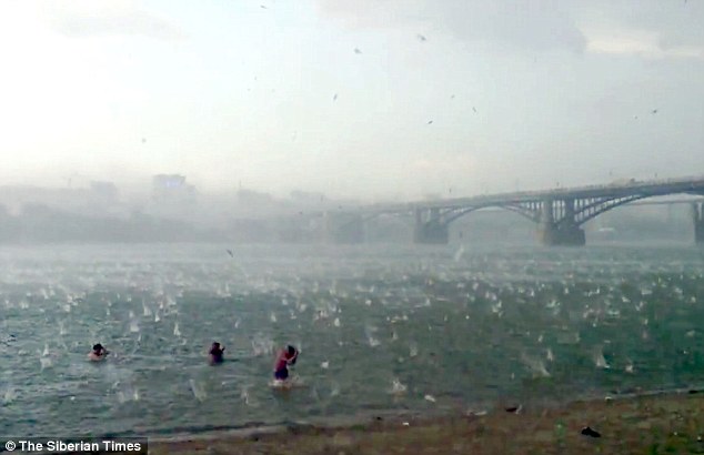 俄罗斯海滩酷暑天突降冰雹 游客尖叫四处躲藏