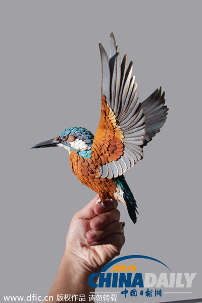 哥伦比亚艺术家制纸质鸟类雕塑 做工精巧栩栩如生