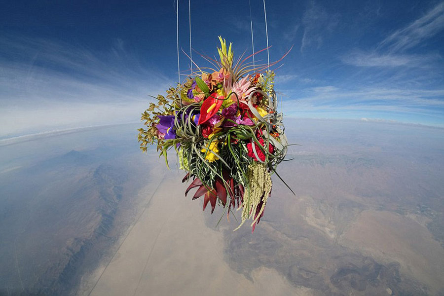 日本艺术家把盆栽送上千米高空拍美照