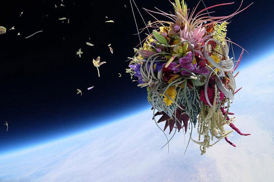日本艺术家把盆栽送上千米高空拍美照