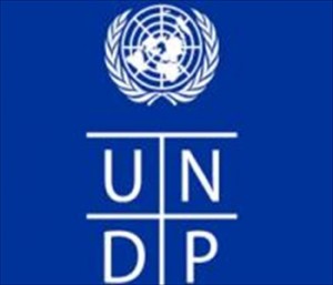 联合国报告：整体人类发展进步速度有所下降