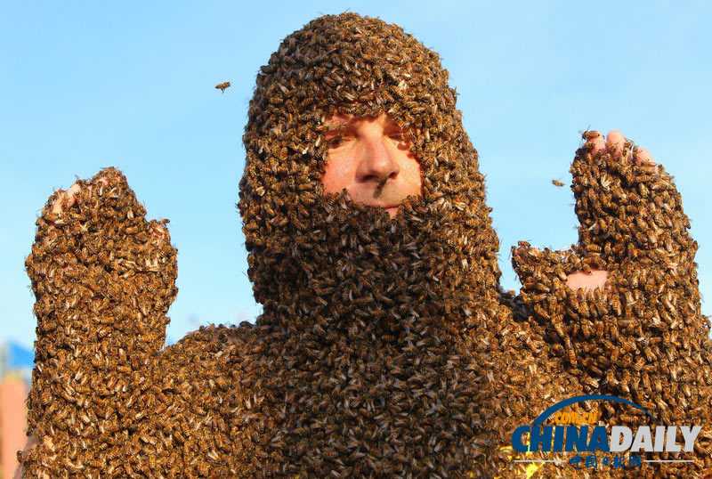 加拿大“蜜蜂胡须”大赛 密密麻麻爬满身体令人惊恐