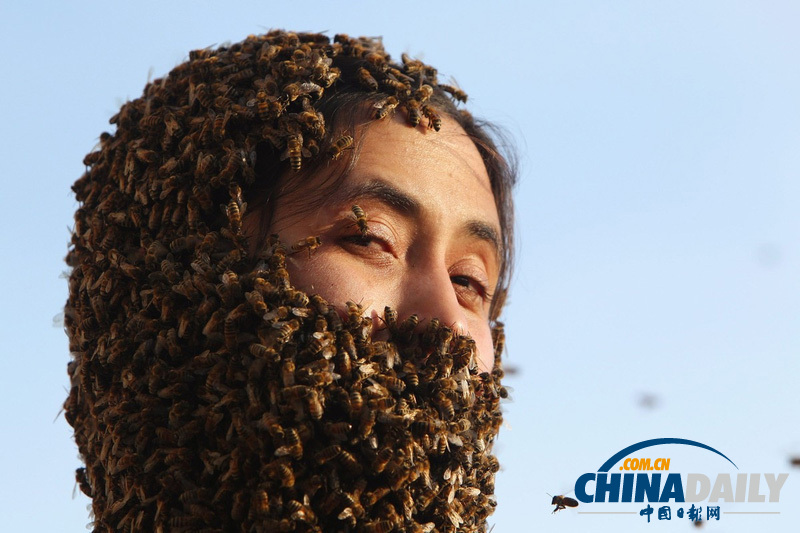 加拿大“蜜蜂胡须”大赛 密密麻麻爬满身体令人惊恐