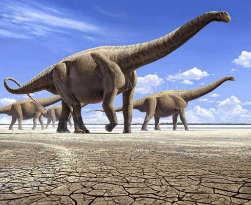 恐龙灭绝因为“点背”？