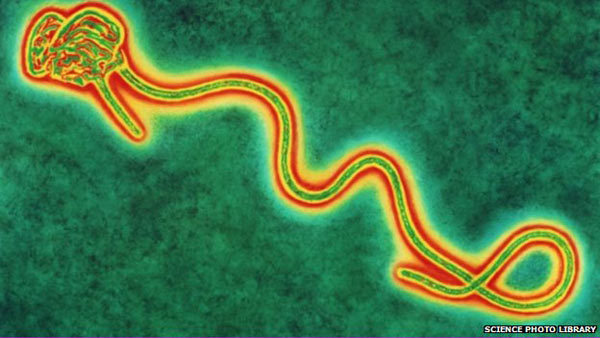 利比里亚全国学校停课严防埃博拉疫情蔓延