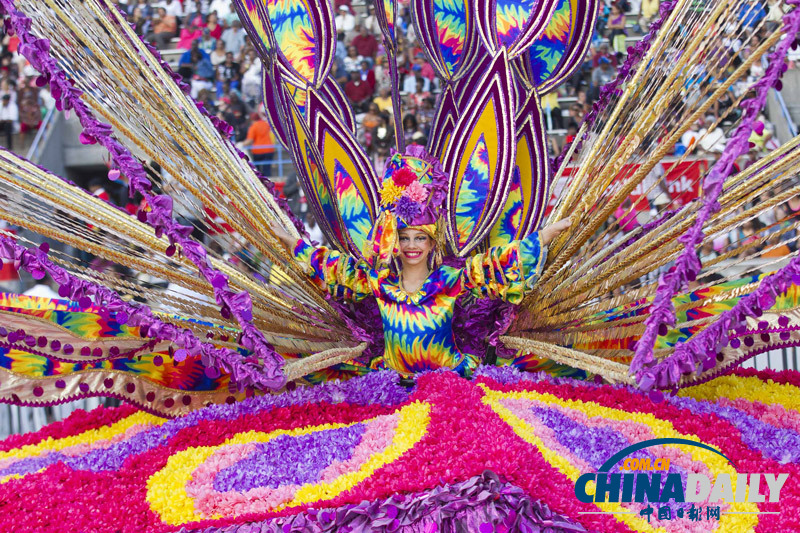 加拿大加勒比狂欢节“赛装会” 五彩缤纷装束超抢眼