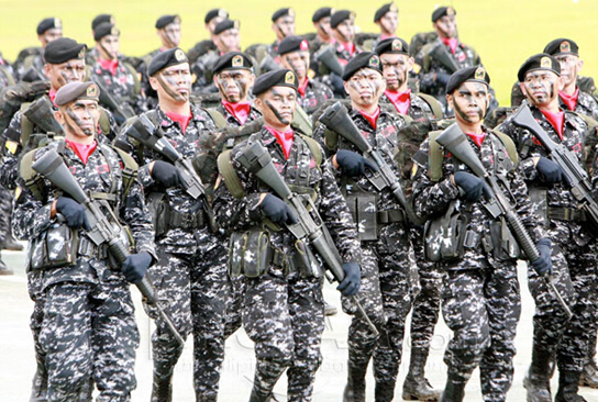 菲武装部队总参谋长证实菲武装部队主要指挥官将有变化