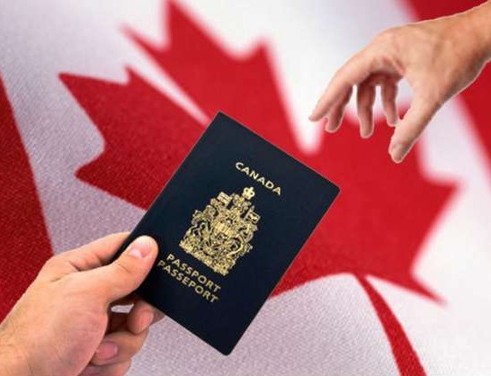 上半年13万人入籍加拿大 中国移民居第三
