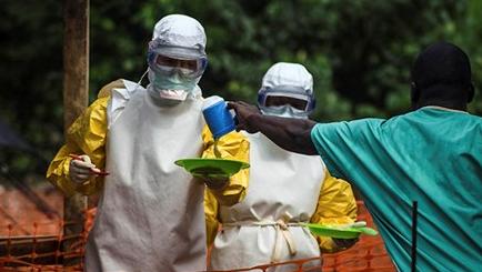 越媒：越南在全国进行预防埃博拉病毒集训