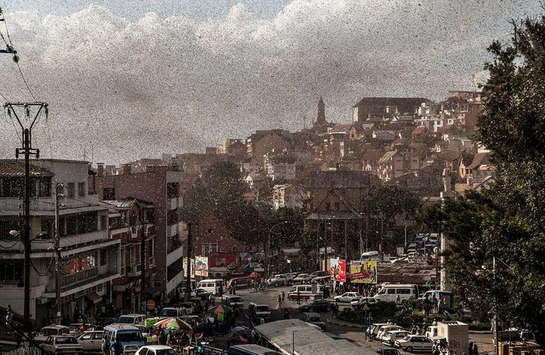 非洲马达加斯加首都上空被蝗虫“黑云”笼罩