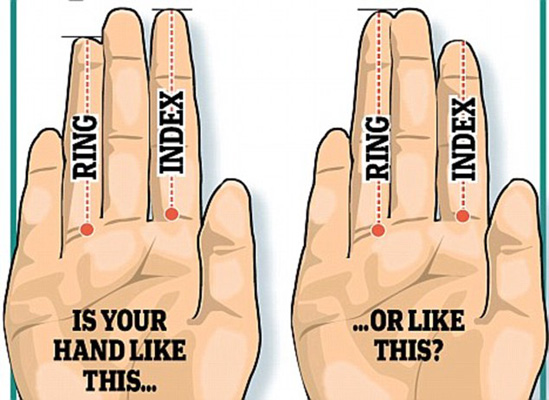 研究：男人右手手指长度反映生育能力