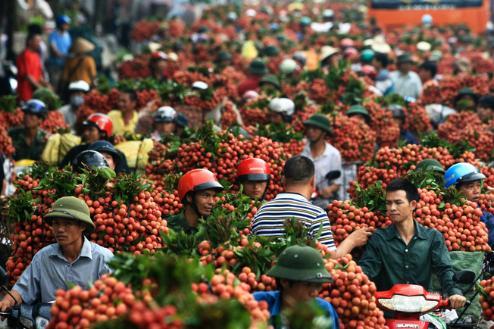 2014年越南对中国出口总额有望达150亿美元