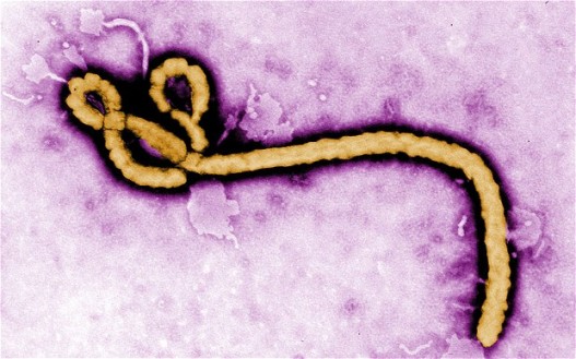 几内亚埃博拉疫情工作组遭村民袭击 8人丧生