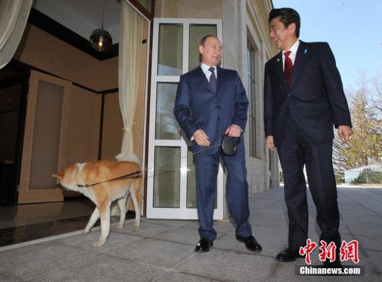 日俄首脑会谈或提前举行 不在北京在米兰