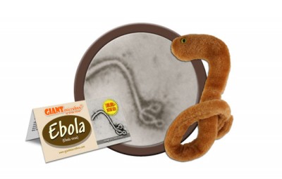 美国埃博拉形状毛绒玩具受热捧（图）