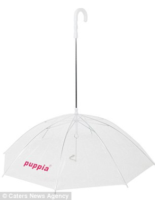 英国专为汪星人设计雨伞 主人下雨天不怕遛狗