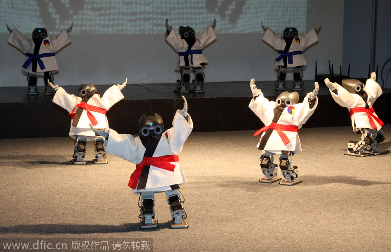 韩国机器人展举行 机器人现场表演“跆拳舞”