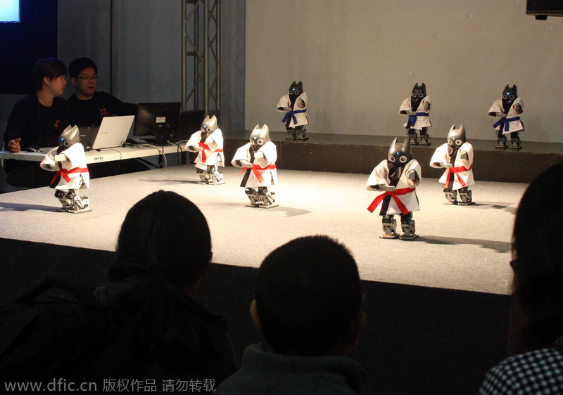 韩国机器人展举行 机器人现场表演“跆拳舞”