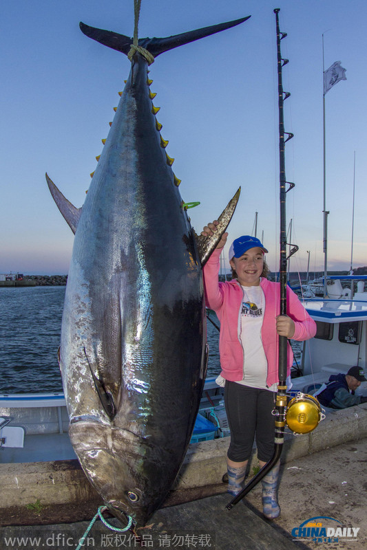 加拿大12岁女孩钓起280公斤鲔鱼 成功破世界纪录