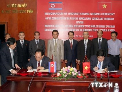越媒：越南和朝鲜签署空运协议
